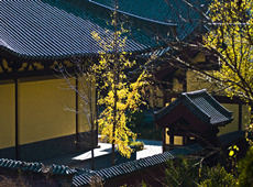 qiqi佛教摄影作品