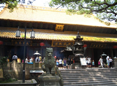 鱼追赶的飞鸟佛教摄影作品