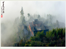 老摄佛教摄影作品