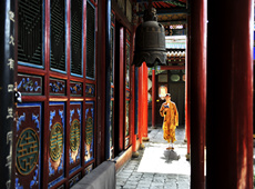 雨露森林佛教摄影作品