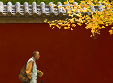 人无完人佛教摄影作品