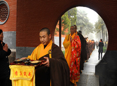 雨巷思恋佛教摄影作品