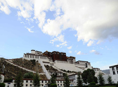 稻草人佛教摄影作品