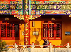 和风拂柳佛教摄影作品