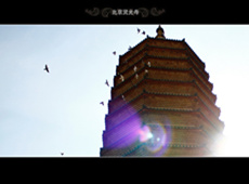 jin佛教摄影作品