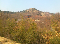 西北望佛教摄影作品