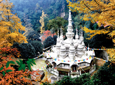 剑 桥佛教摄影作品