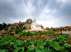 阿里郎佛教摄影作品