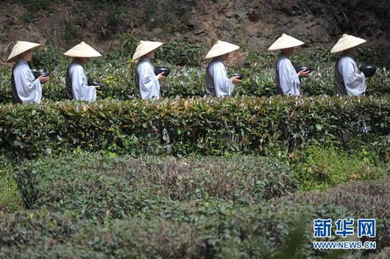 5月10日，参加托钵行脚慈善活动的僧人们行走在通往灵隐寺的天竺小道上。当日是农历四月初八，释迦牟尼诞辰日，杭州佛教界举行盛大的僧人托钵行脚慈善活动。来自杭州各大寺院及佛学院的300余名僧人托钵行脚，从杭州的法喜讲寺行走到杭州灵隐寺，接受沿途信众的慈善捐赠，所得善款将全部捐赠给相关慈善机构。新华社发