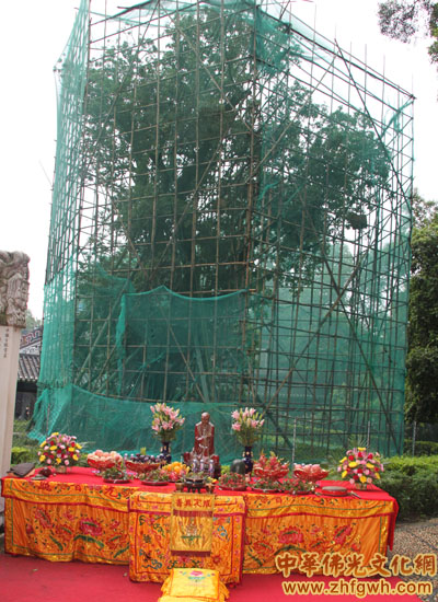 “品六祖佛荔 倡扶贫济困”活动