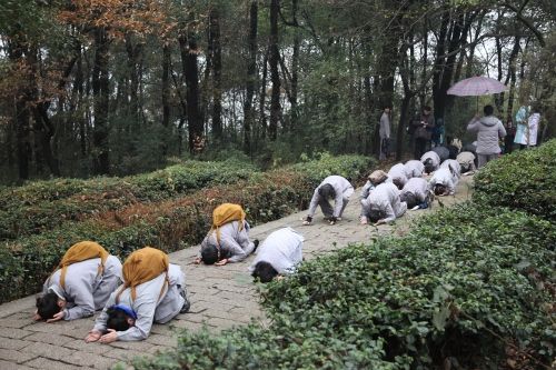 拜向印公塔院 拜向印公塔院