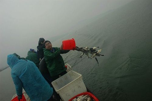 放归水域 放归水域