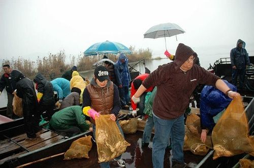 大家齐心协力搬运物命 大家齐心协力搬运物命