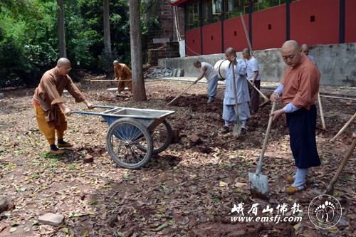 报国寺僧众出坡劳动