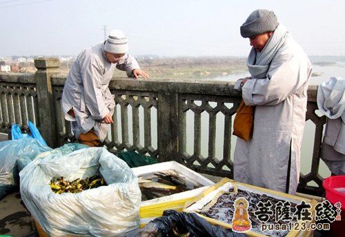 湖南东山古寺法师前往伍市、新市、汨罗等各地放生