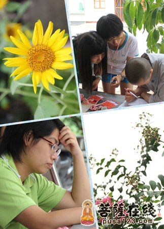 开营报到 开营报到