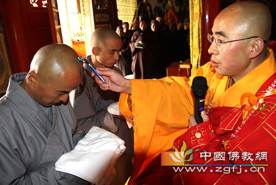 圆顶方袍僧相现   法王座下又添孙