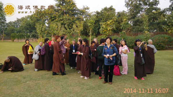 资国寺印度朝圣团系列报道之第一站朝圣鹿野苑