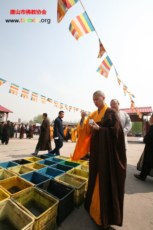 天心明月 真照无边--净慧长老示寂周年追思法会