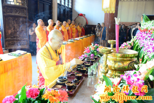 厦门佛教在线 厦门佛教在线