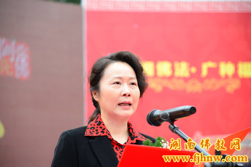 厦门佛教在线 厦门佛教在线