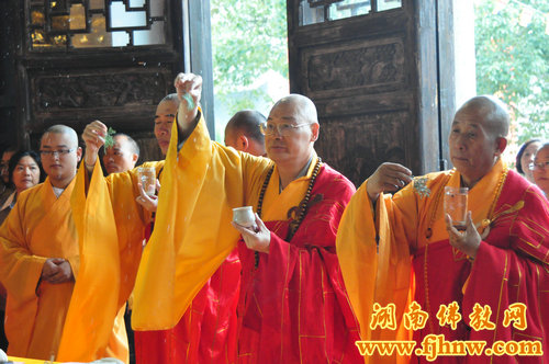 厦门佛教在线 厦门佛教在线