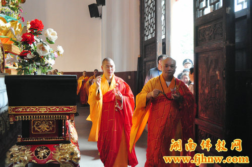 厦门佛教在线 厦门佛教在线