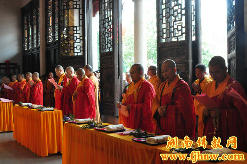 厦门佛教在线 厦门佛教在线