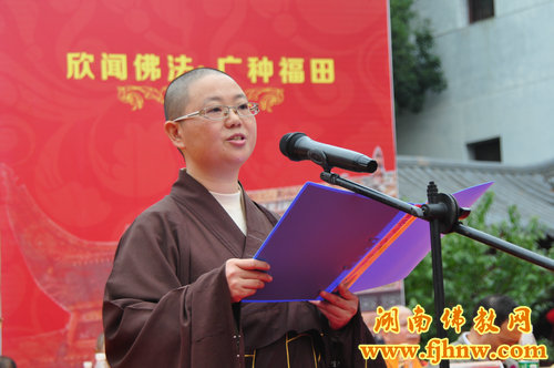 厦门佛教在线 厦门佛教在线