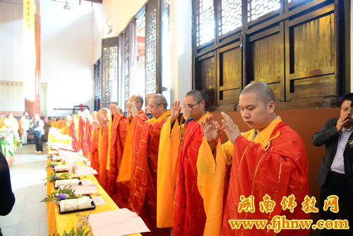 厦门佛教在线 厦门佛教在线