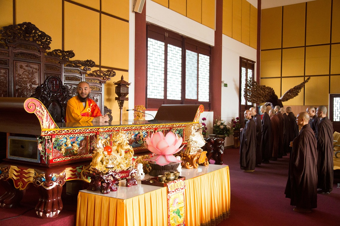 1447832612153344.jpg 1D0A1741.jpg