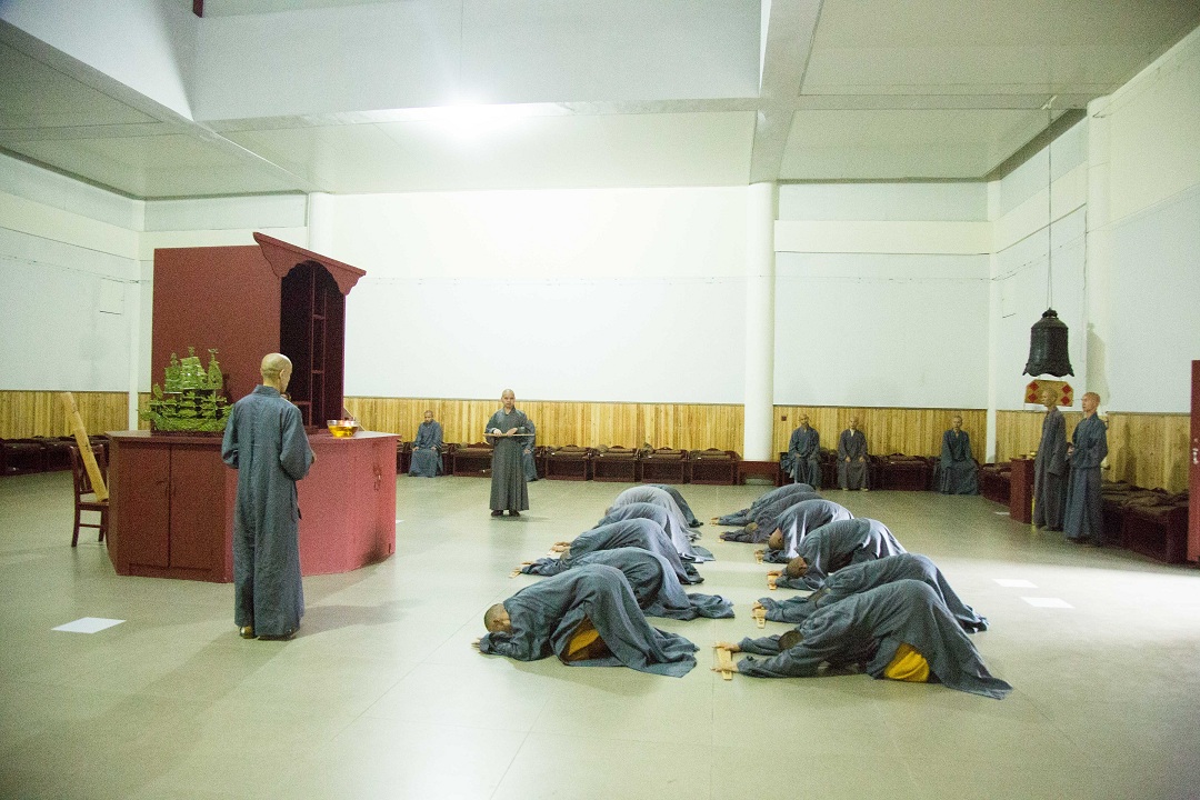 1447832826375401.jpg 1D0A1775.jpg