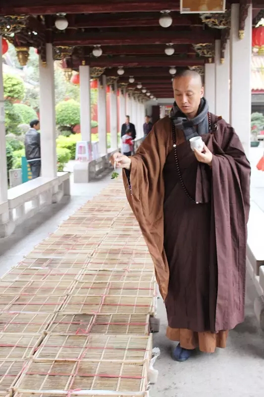 广东潮州开元寺举行放生法会