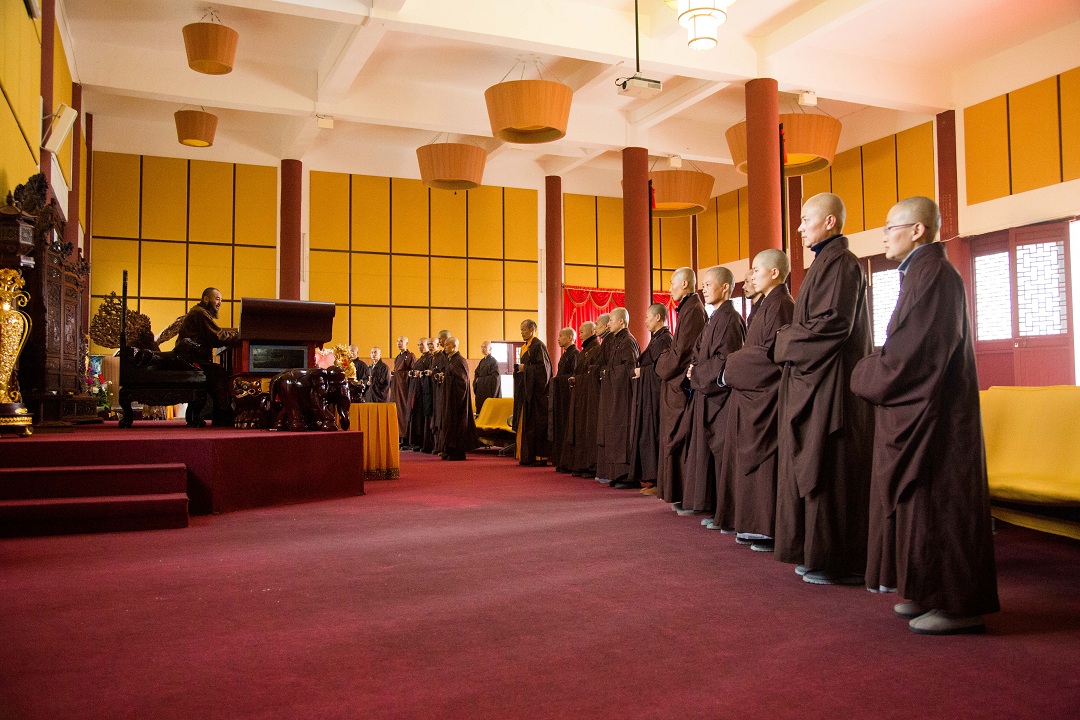 1450767509397938.jpg 1D0A2194.jpg