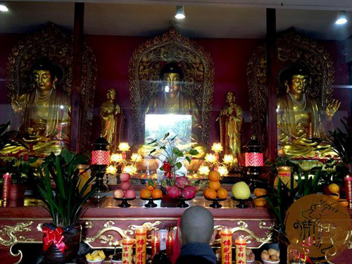 厦门佛教在线 厦门佛教在线