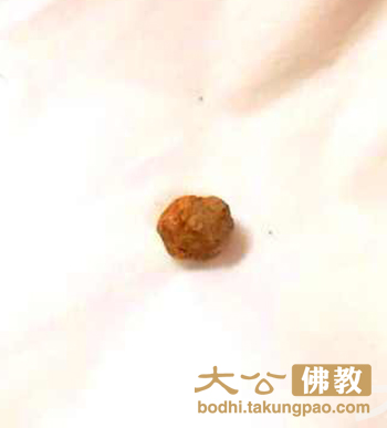 觉真长老心舍利