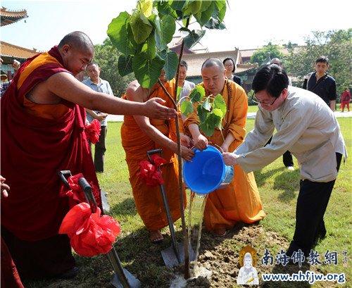 共同扶持，为刚种下的菩提树浇水  摄影：顿俊