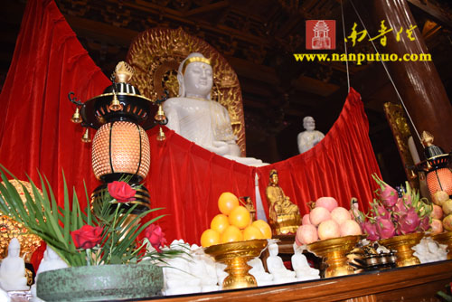 厦门佛教在线 厦门佛教在线