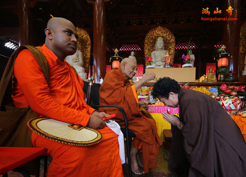 厦门佛教在线 厦门佛教在线