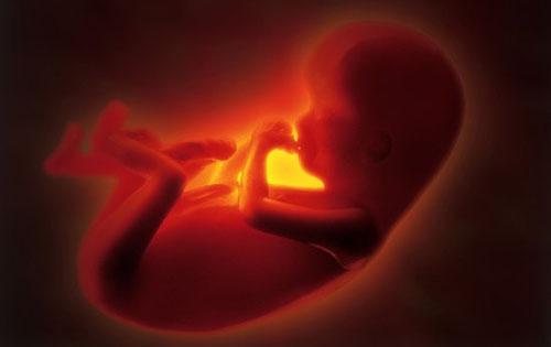 堕胎也是杀生!而且杀的是跟你最有缘的人!