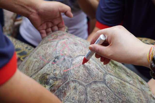 处处光明——传喜法师印尼 新加坡弘法行圆满