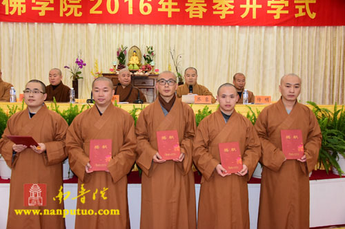 厦门佛教在线 厦门佛教在线