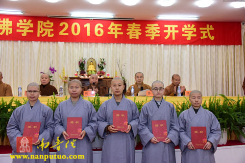 厦门佛教在线 厦门佛教在线