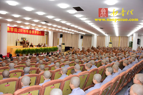 厦门佛教在线 厦门佛教在线