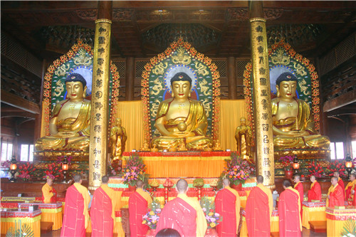 厦门佛教在线 厦门佛教在线