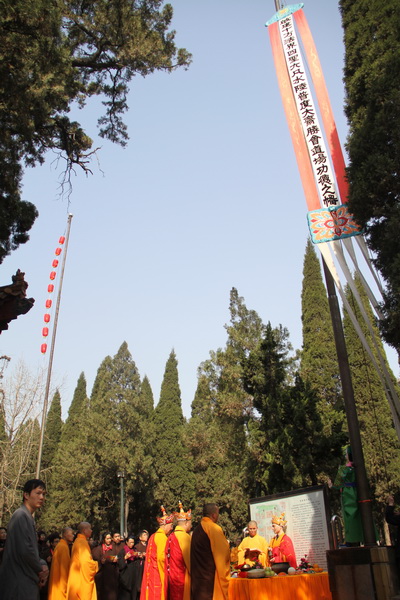 1459687719444948.jpg IMG_0931_调整大小.JPG