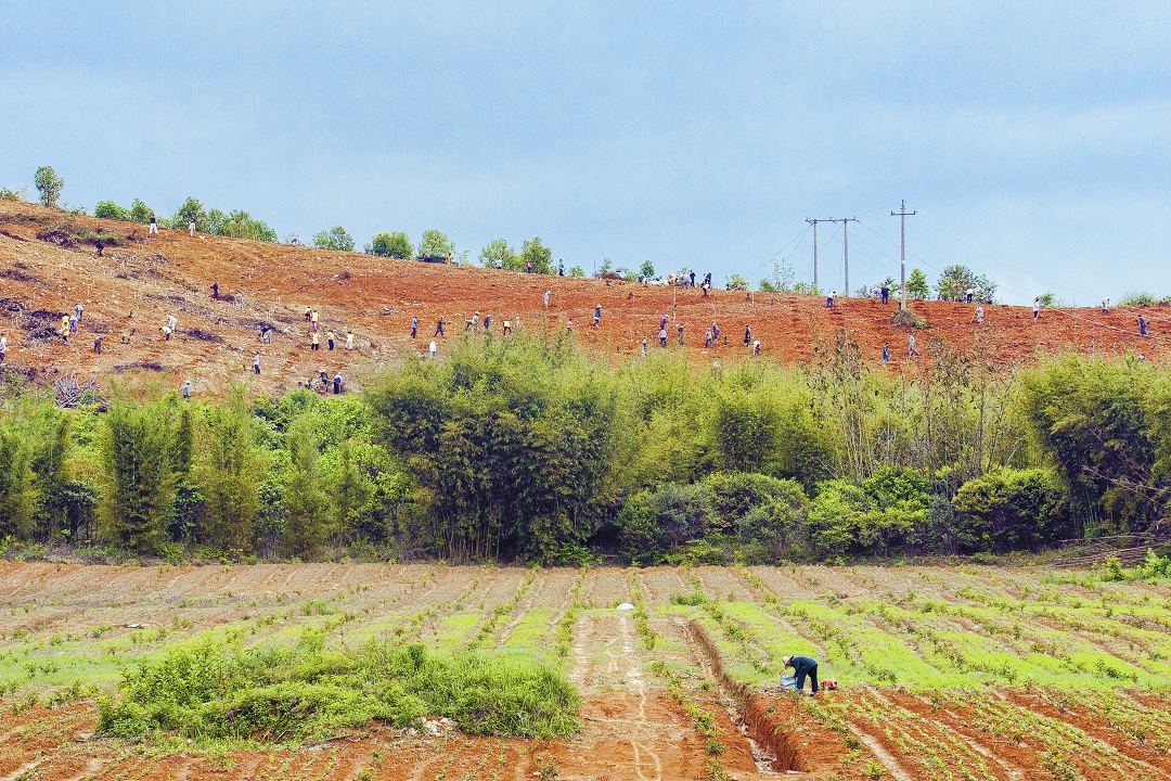 1460432261425767.jpg IMG_1547.jpg