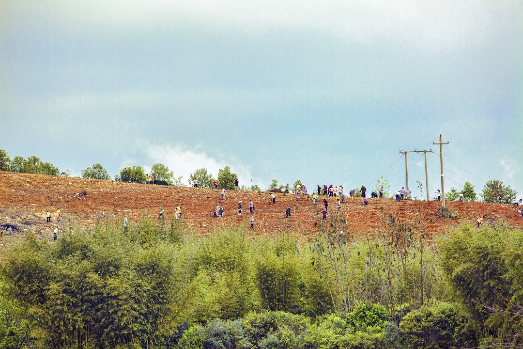 1460507993294767.jpg IMG_1581.jpg