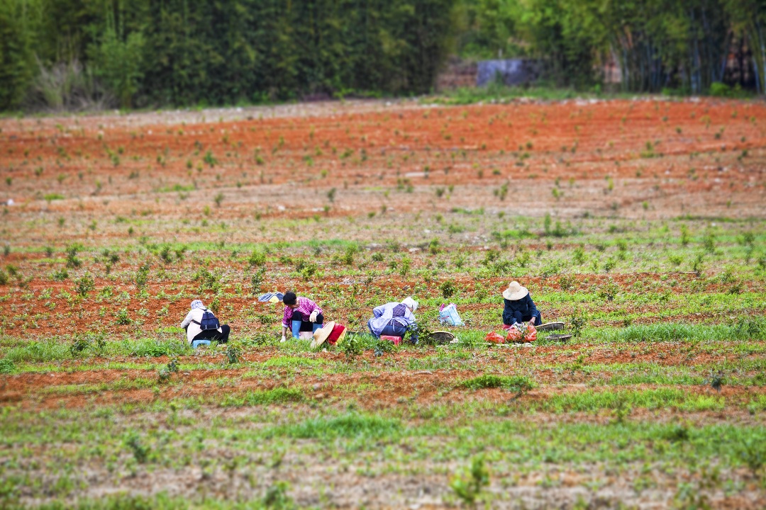 1460512744382723.jpg IMG_1624.jpg