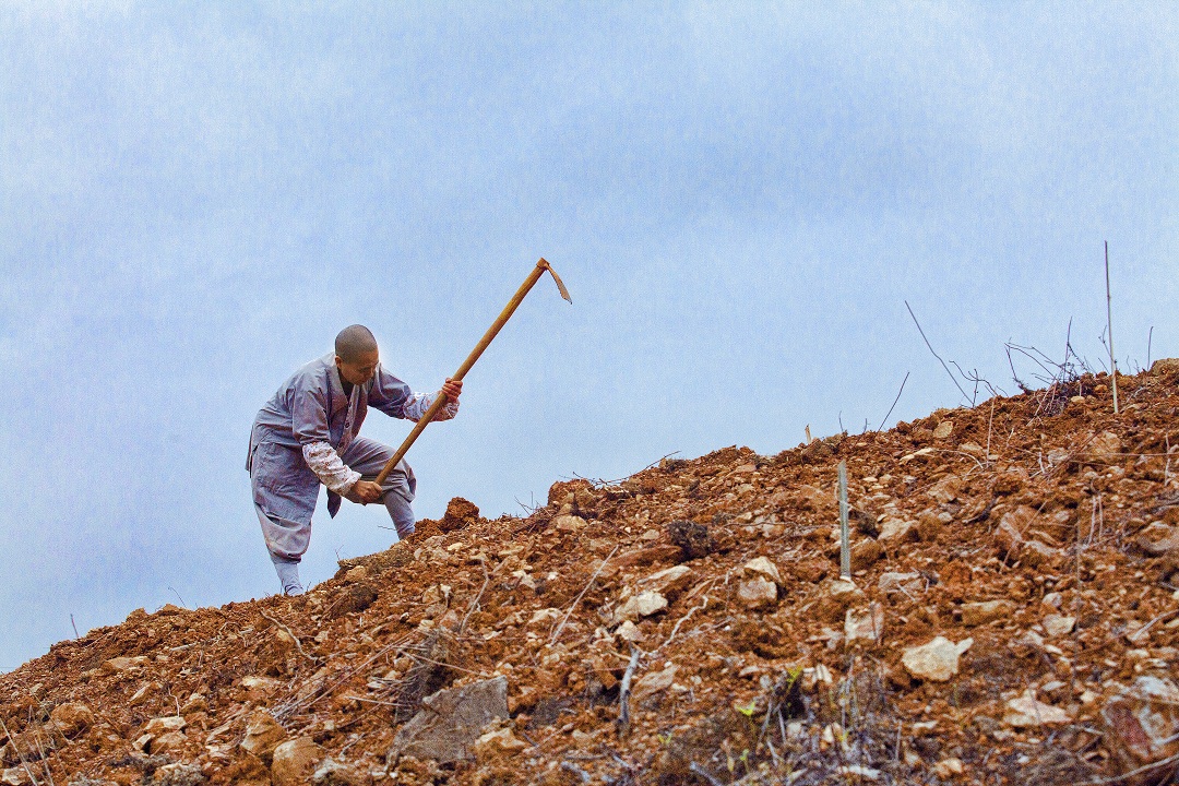 1460432281965123.jpg IMG_1745.jpg